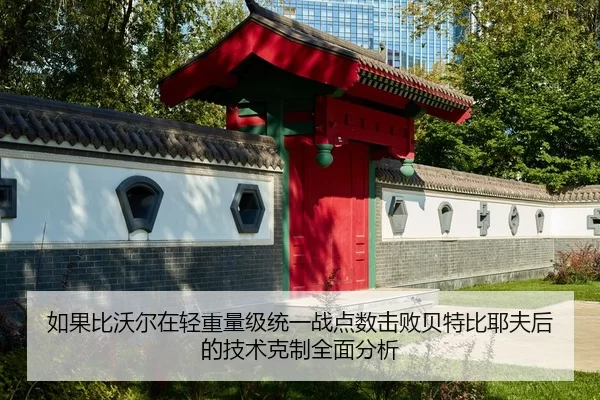 ru-guo-bi-wo-er-zai-qing-zhong-liang-ji-tong-yi-zhan-dian-shu-ji-bai-bei-te-bi-ye-fu-hou-de-ji-shu-ke-zhi-quan-mian-fen-2-883.jpg